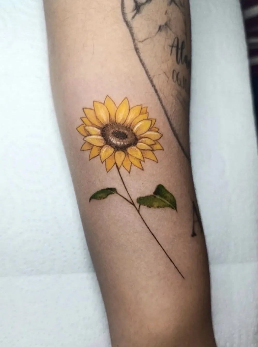 Tatuaje realizado por Sonia en Black Rituals Tattoo, Málaga
